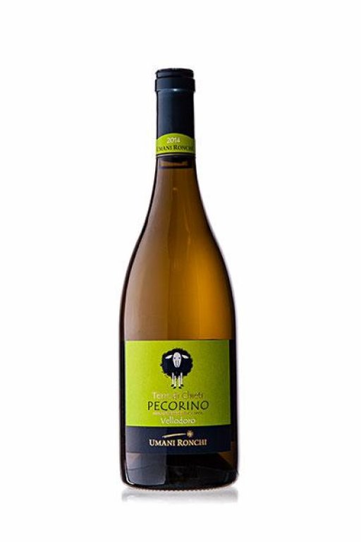 Pecorino Terre di Chieti "Vellodoro" IGT 2023