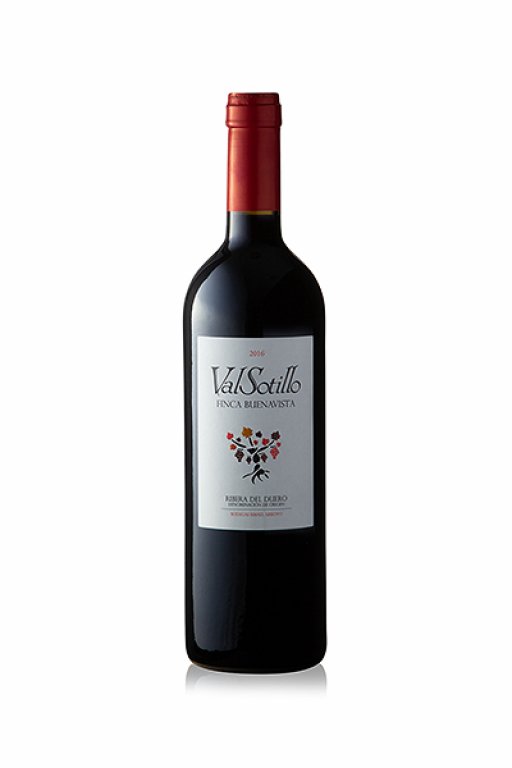 ValSotillo Finca Buenavista 2016