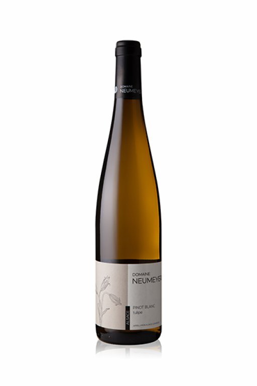 Pinot Blanc Tulipe 2017