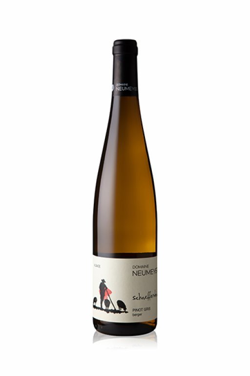 Pinot Gris Berger - Schaefferstein 2017